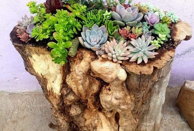 9 ideias perfeitas para o seu jardim