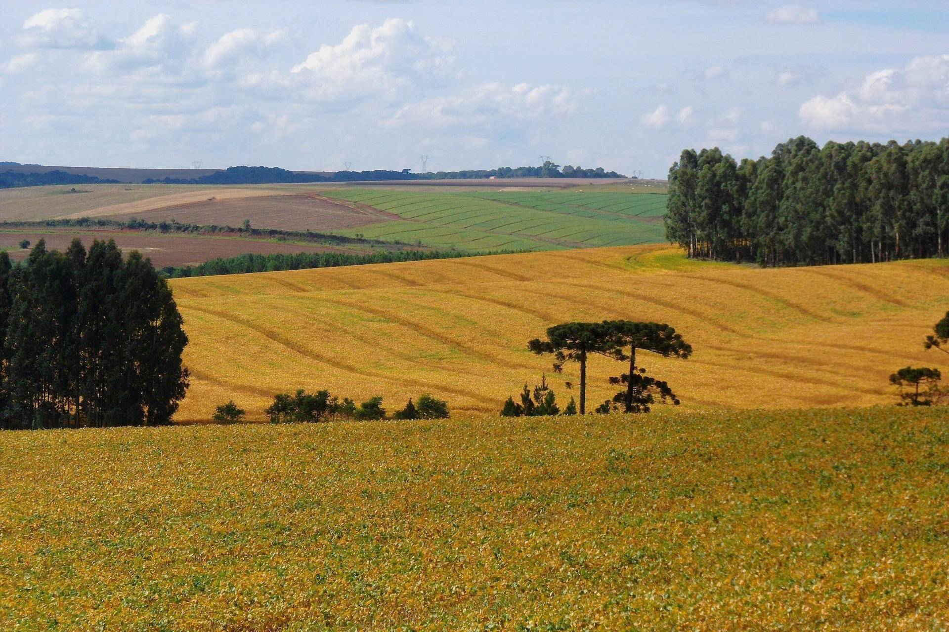 Projecto Clima avança com concessões ao agro e mantém pontos sensíveis fora do enfrentamento direto
