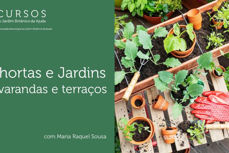 Curso Biohortas e Jardins em varandas e terraços
