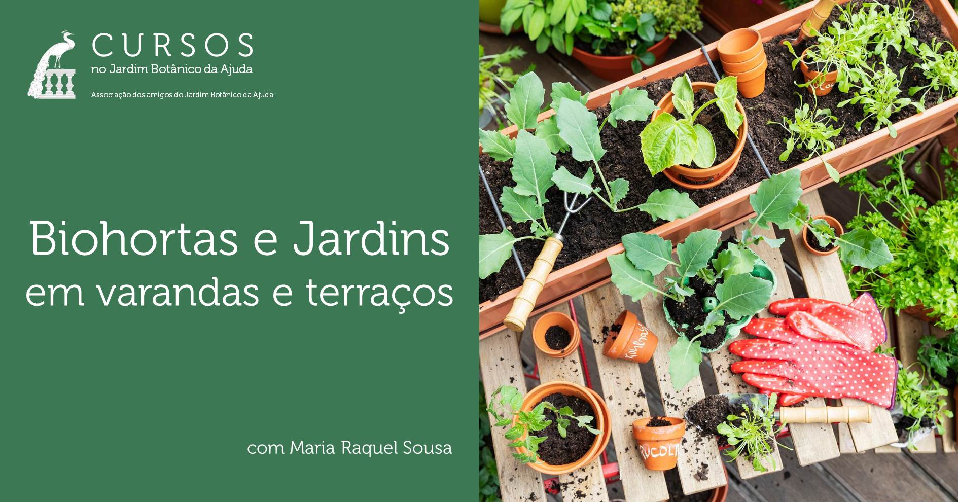 Curso Biohortas e Jardins em varandas e terraços