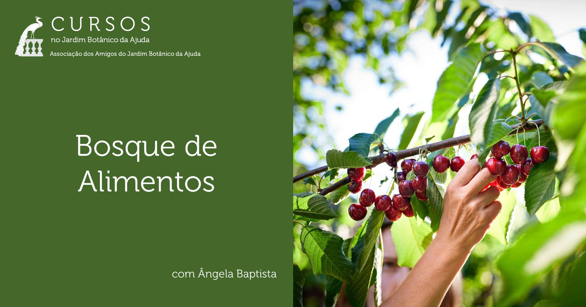 Curso Mata de Provisões – Revista Jardins