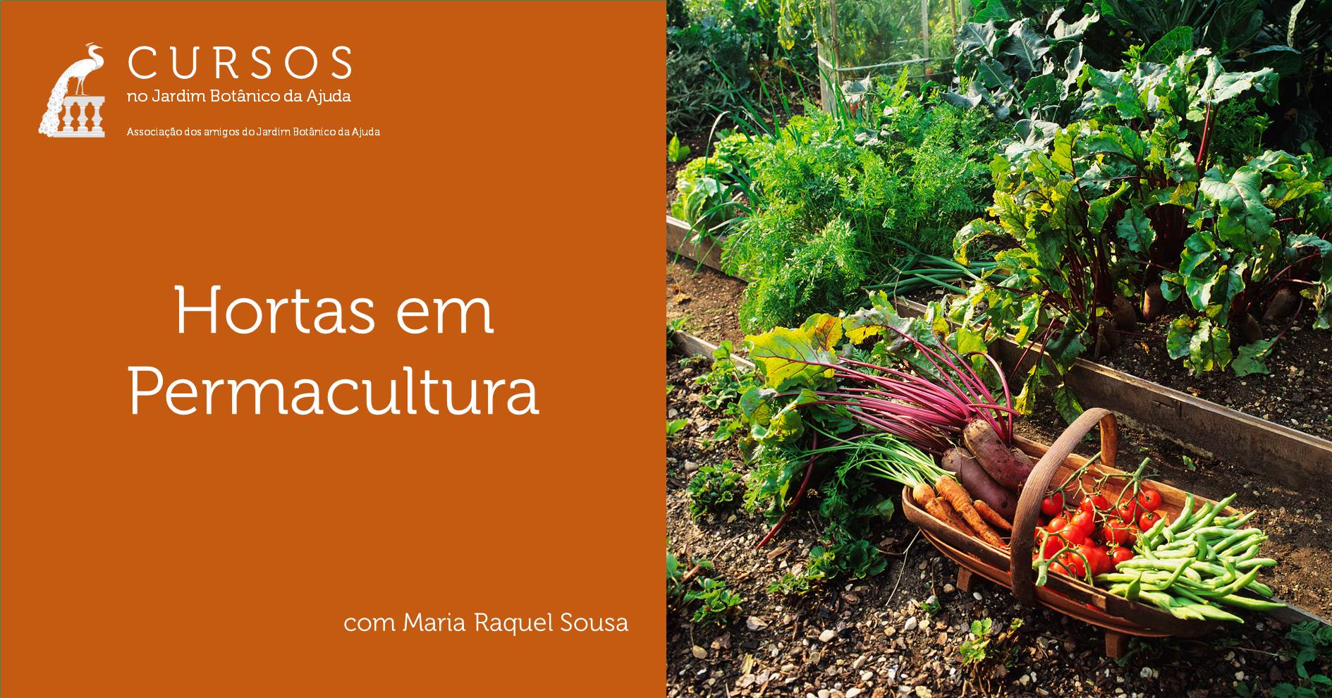 Curso Hortas em permacultura – JBA