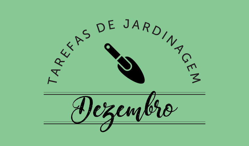 Tarefas de jardinagem: dezembro – Revista Jardins