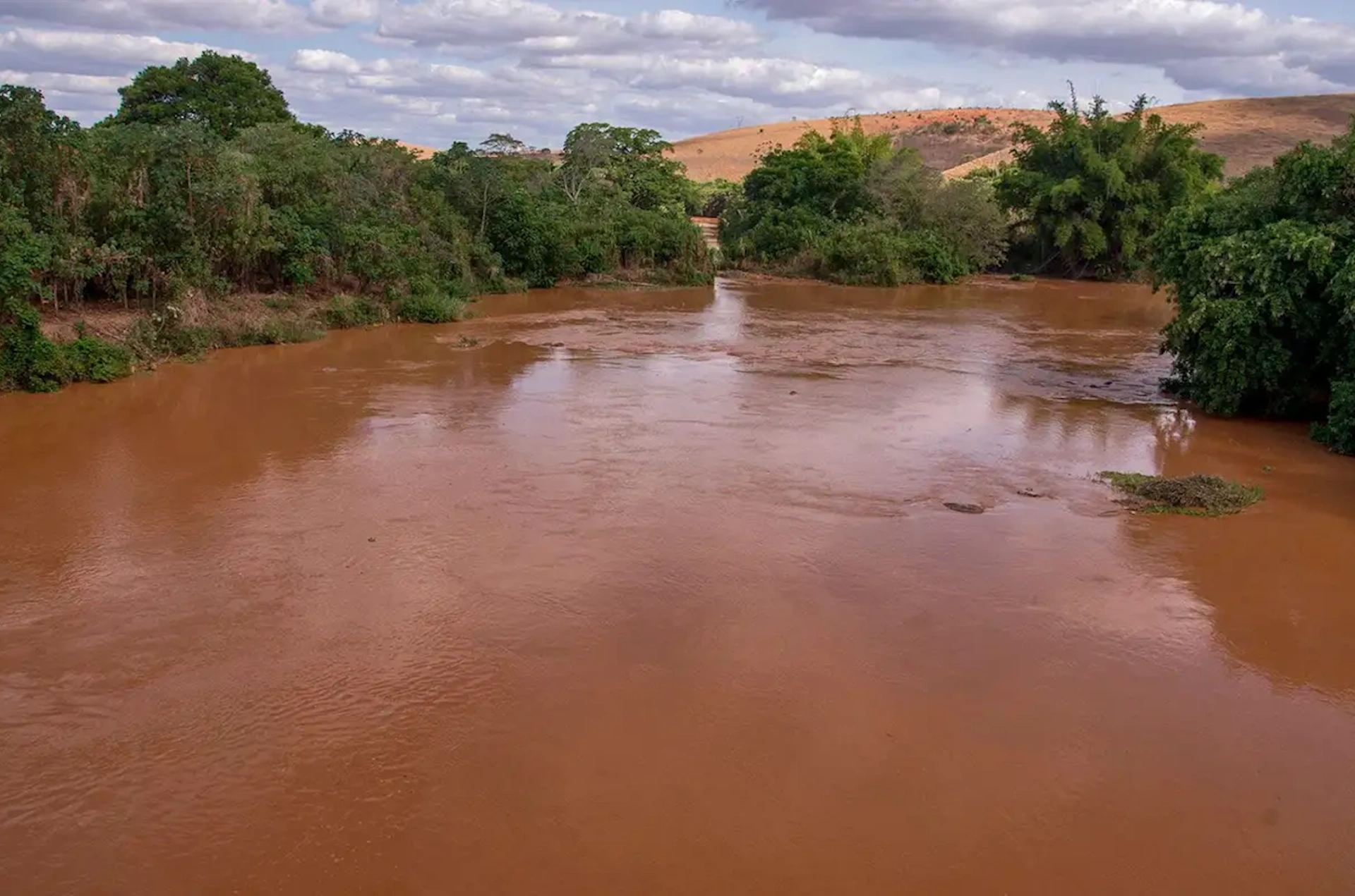 Peixes do rio Gulosice continuavam contaminados quatro anos depois sinistro de Mariana