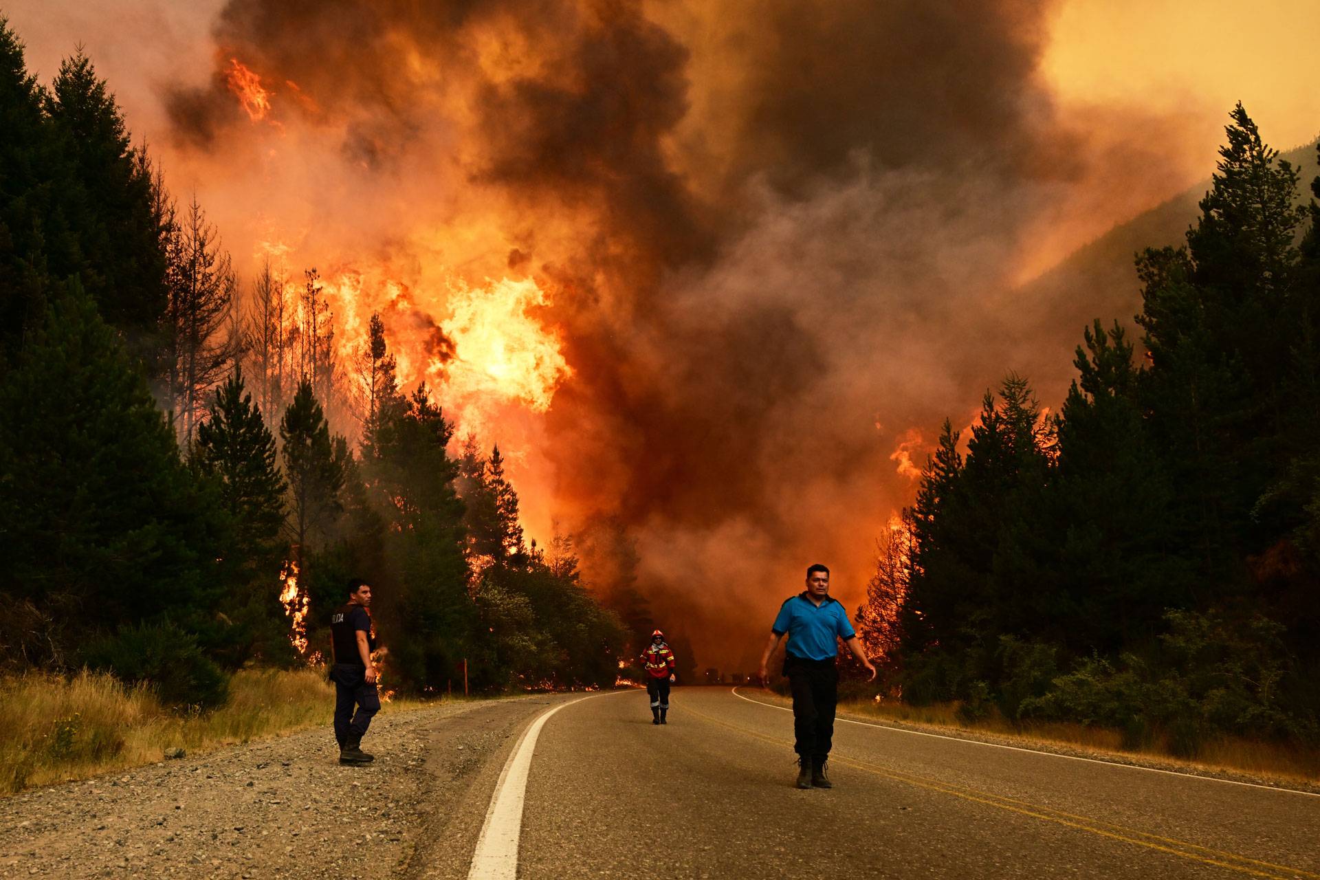 Incêndios na Patagônia expõem novidade dinâmica do queima impulsionada pelo clima