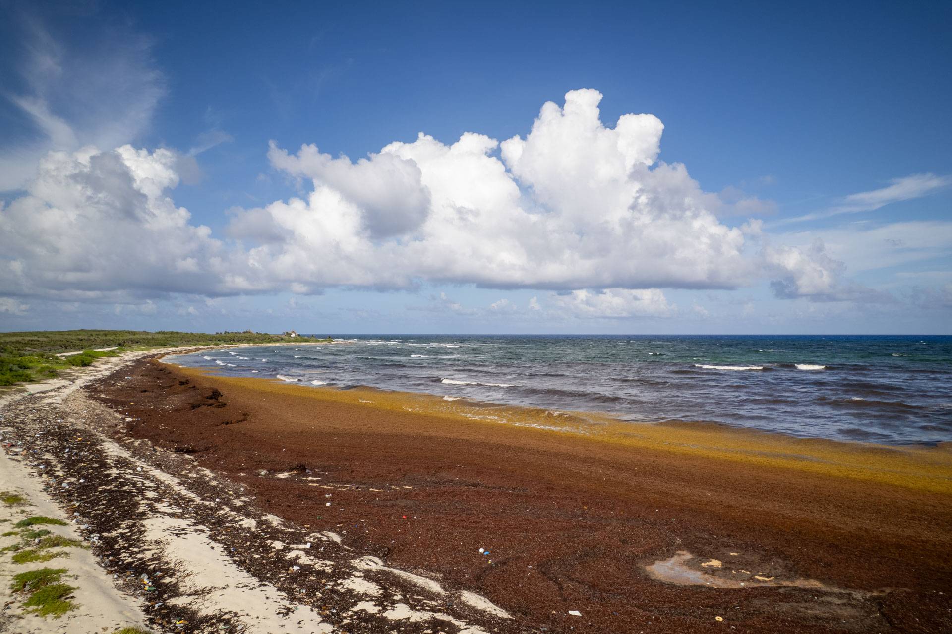 Fórum do Mar Patagônico serpente protagonismo regional na implementação do tratado do alto-mar