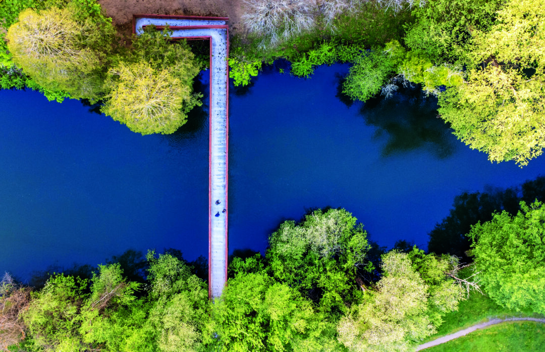 Desenvolvimento sustentável do território pátrio em ação