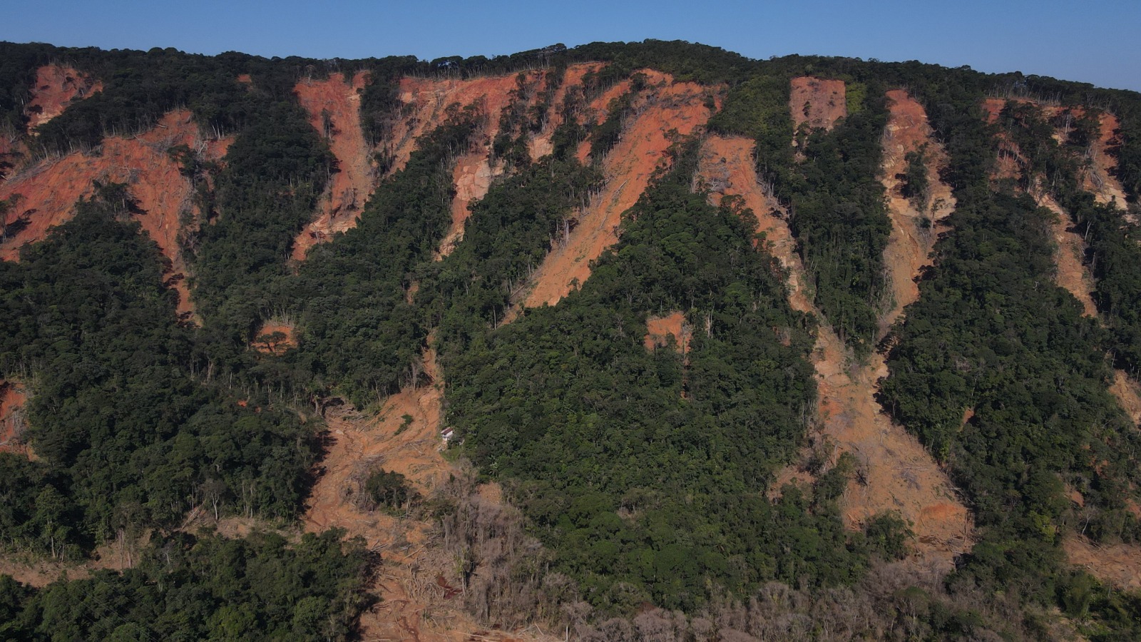Três anos em seguida tragédia, 203 hectares de encostas em São Sebastião seguem em recuperação