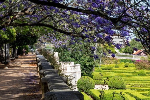Os jardins botânicos da Universidade de Lisboa: História e Cultura
