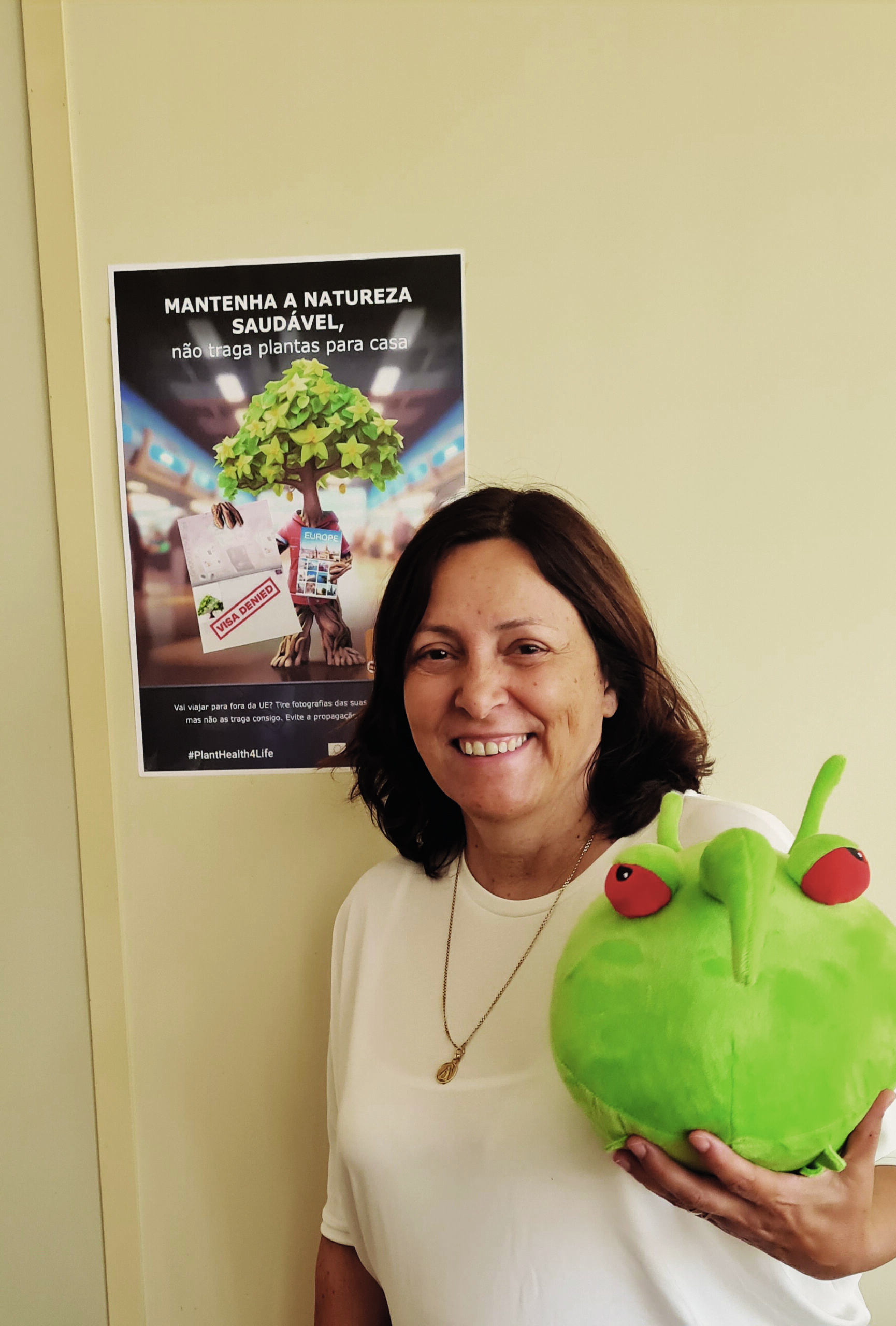 Saúde das vegetação no nosso quotidiano e economia