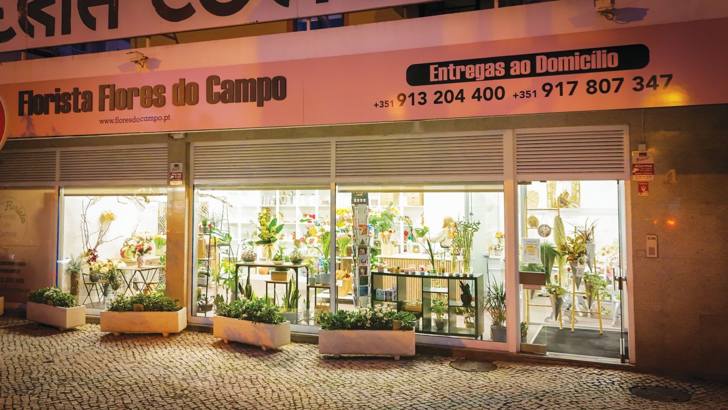A Flores do Campo deu cor ao Beato
