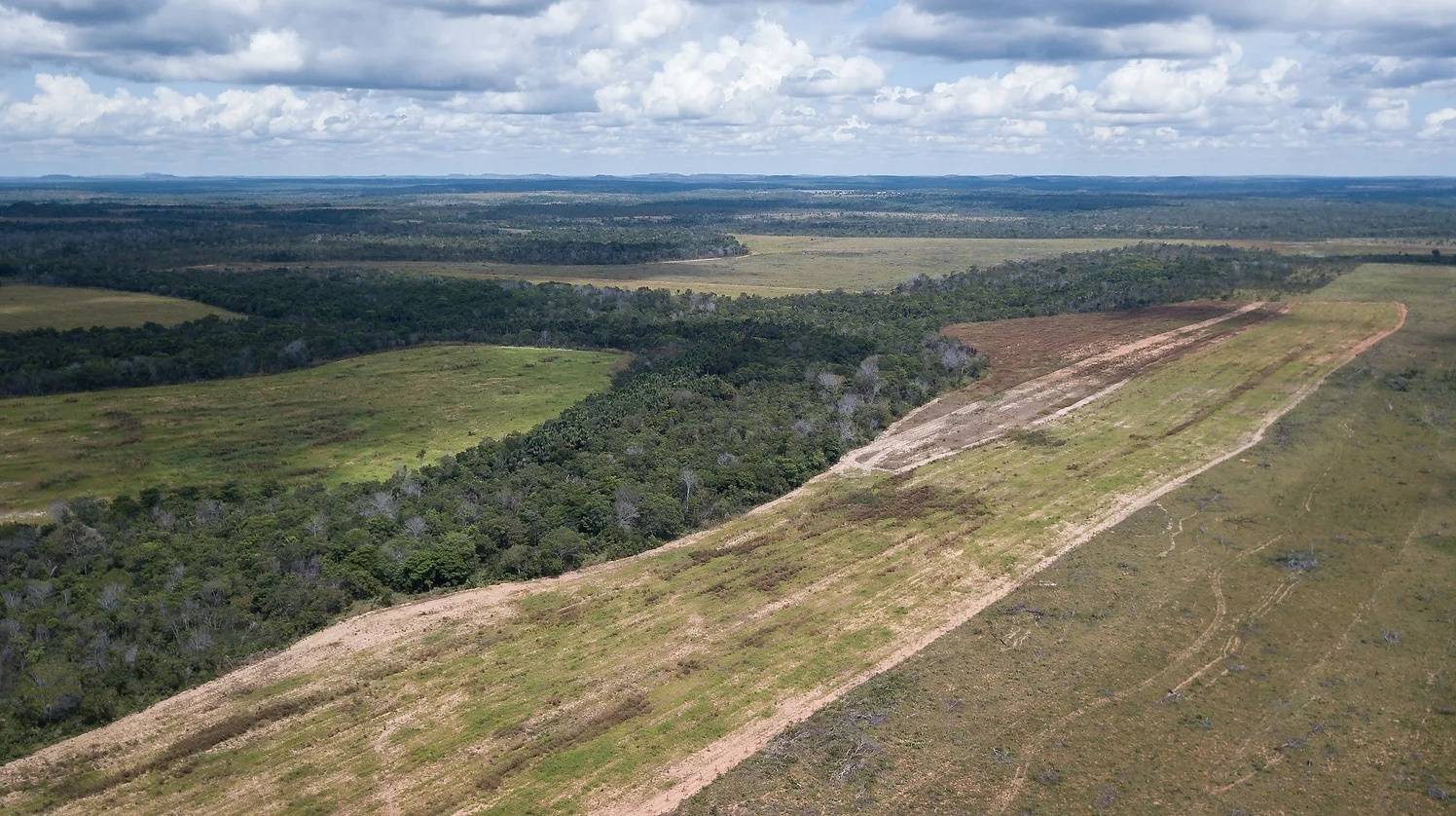 Termo da Moratória da Soja pode colocar 13 milhões de hectares de floresta em risco