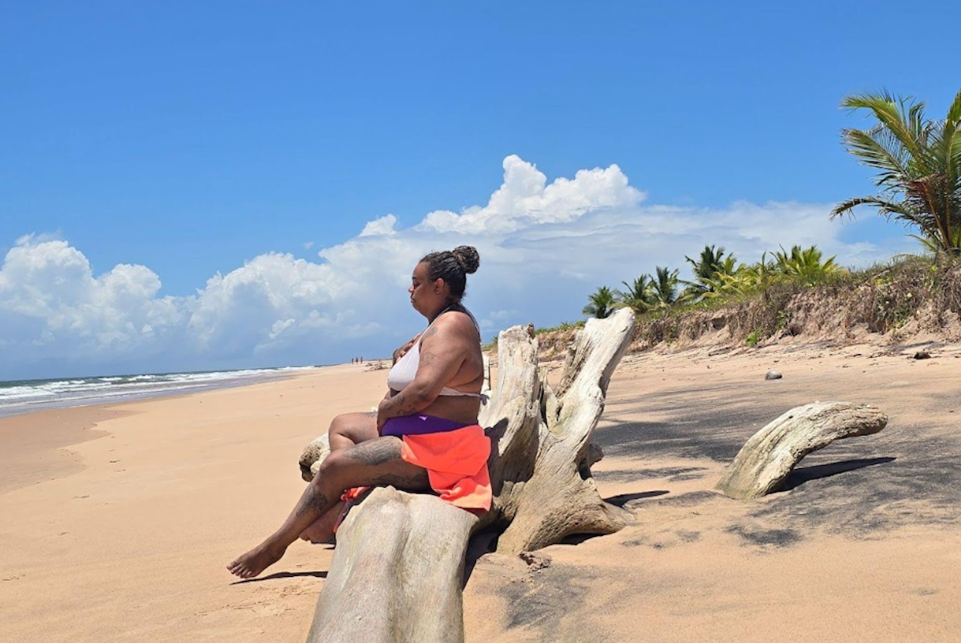 Talvez o sertão não vire mar, mas o litoral brasiliano já está virando 