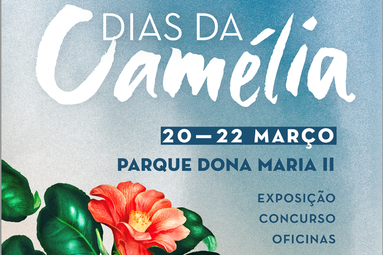 Dias da Camélia – Revista Jardins