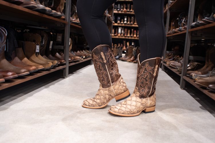 Uma vez que botas de caubói estão financiando a pesca sustentável de pirarucu na Amazônia