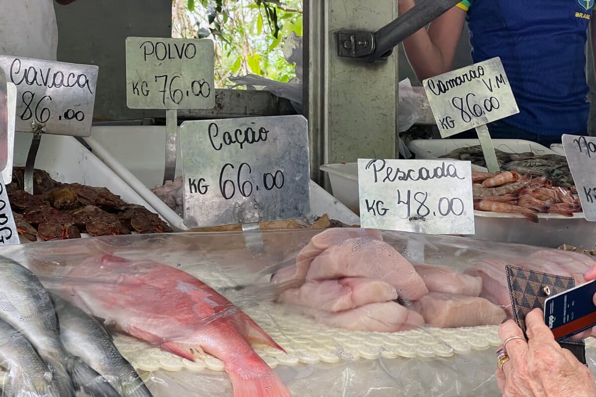 Mongabay vence Prêmio Andifes de Jornalismo com investigação sobre compra de músculos de tubarão
