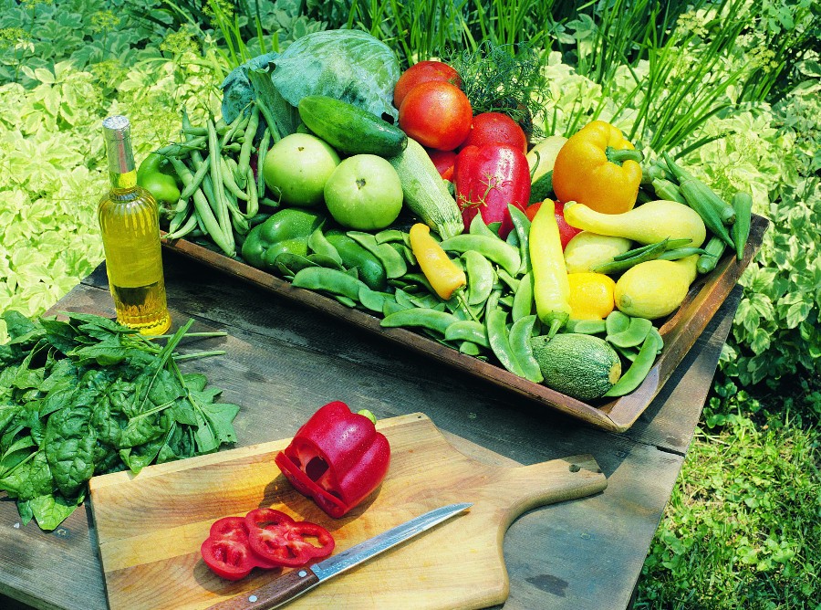 10 passos para produzir a sua quintal no jardim ou no quintal