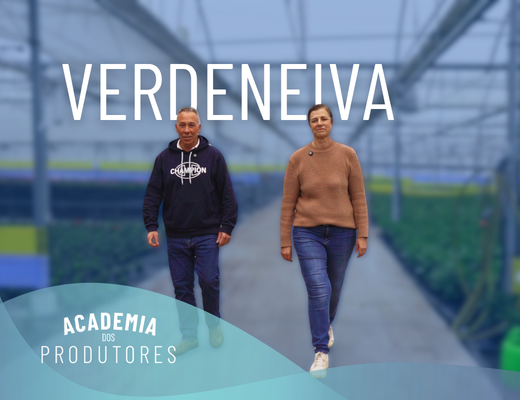 Ateneu dos Produtores: Verdeneiva  – Revista Jardins