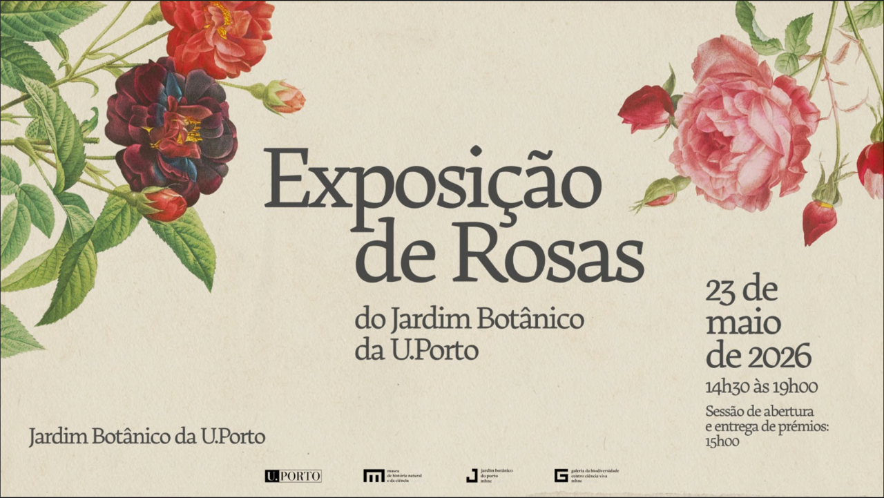 Exposição de rosas – Revista Jardins