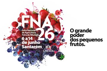 Feira Vernáculo de Lavra – Revista Jardins