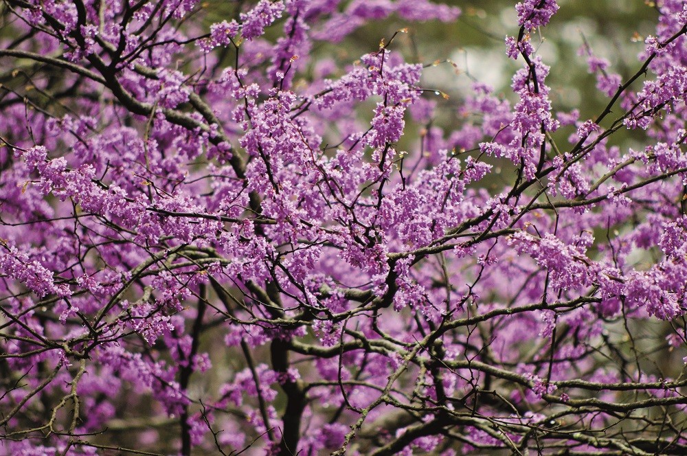 O que está bonito em abril