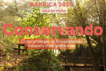 Passeio | Conservando, Conversando – Revista Jardins