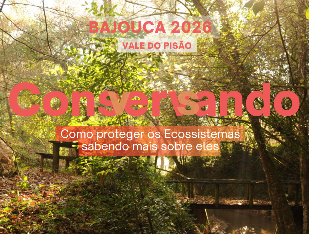 Passeio | Conservando, Conversando – Revista Jardins