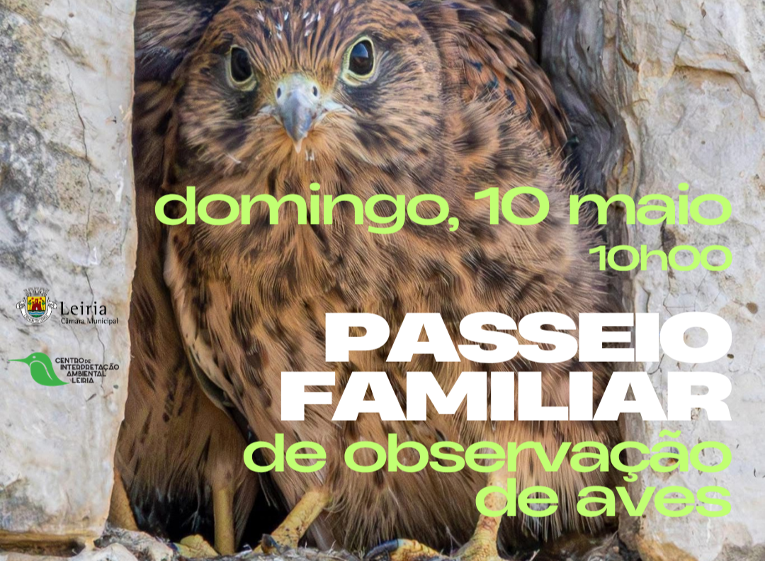 Passeio familiar de reparo de aves