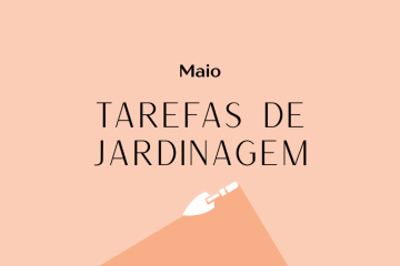 Tarefas de jardinagem: Maio – Revista Jardins