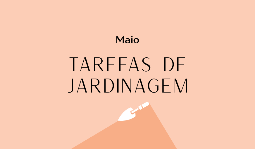 Tarefas de jardinagem: Maio – Revista Jardins