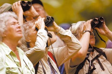 Maior evento de reparo de aves do mundo contará com lanço no setentrião do Paraná