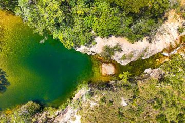 Onça-parda fere rapaz em trilha na Chapada dos Veadeiros