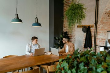 Decorar o escritório com vegetalidade