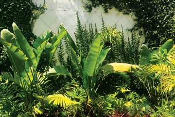 Do jardim à paisagem – Revista Jardins