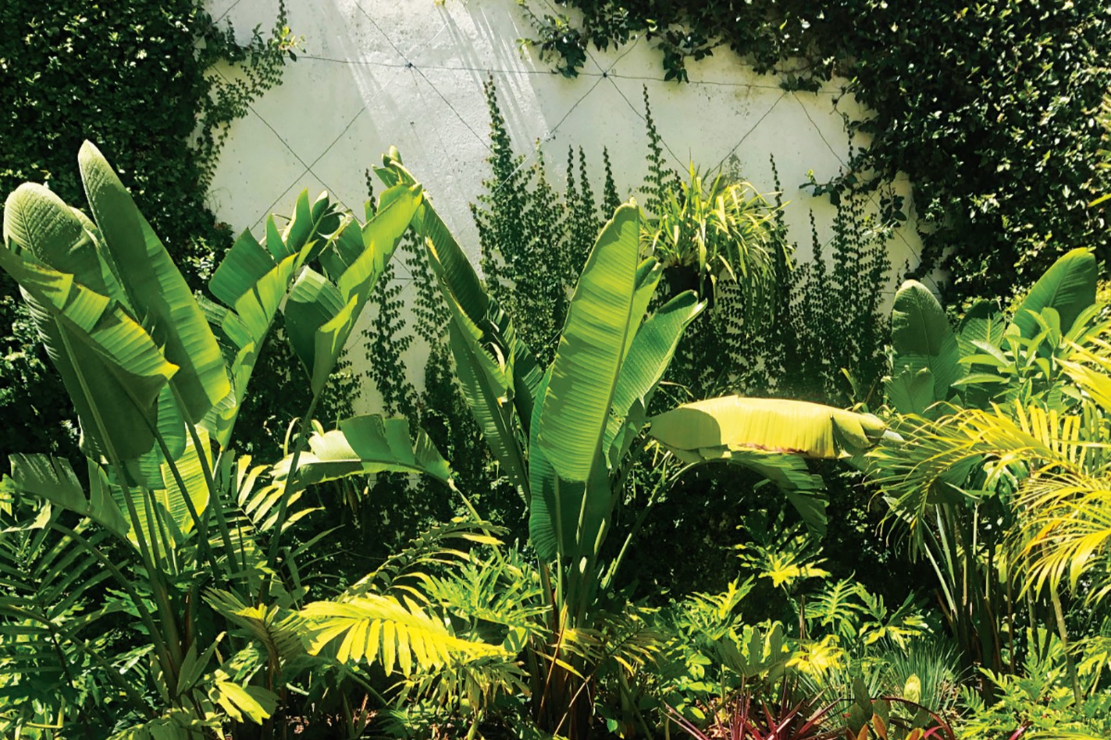 Do jardim à paisagem – Revista Jardins