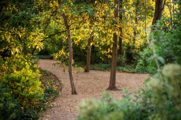 Festival Jardins Abertos regressa em maio para perfurar os jardins de Lisboa e unir a comunidade