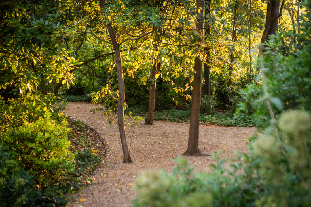 Festival Jardins Abertos regressa em maio para perfurar os jardins de Lisboa e unir a comunidade