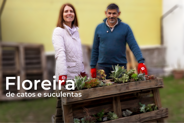 Floreira de catos e suculentas