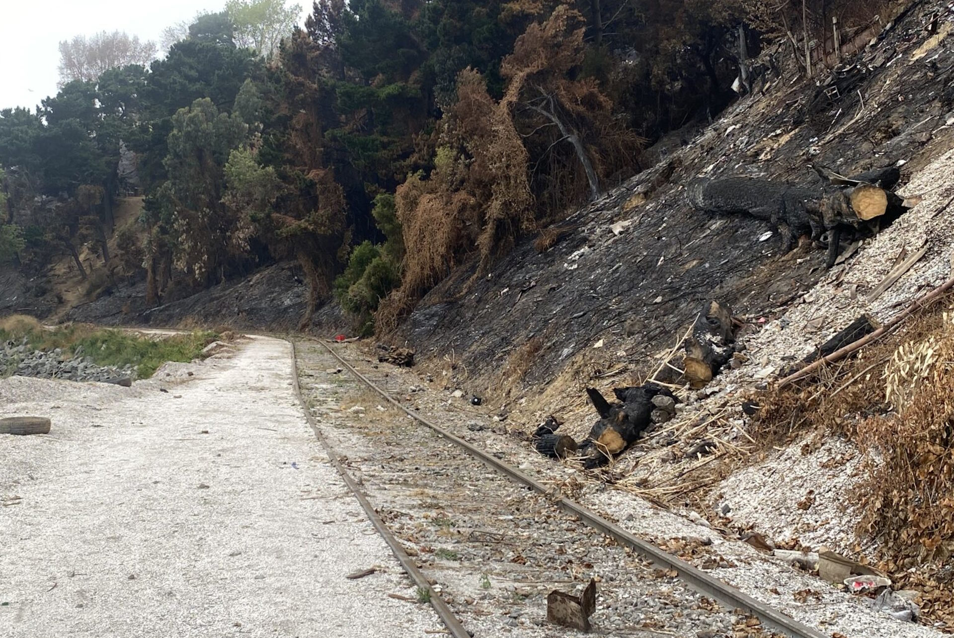Incêndios já queimaram 150 milhões de hectares de vegetação no planeta em 2026