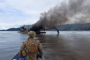 Câmara proíbe embargo remoto de extensão desmatada sem vistoria prévia