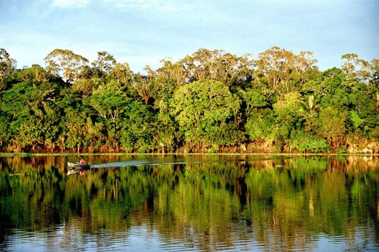 Notícia ambiental deve trabalhar para conscientizar a população pela preservação da natureza