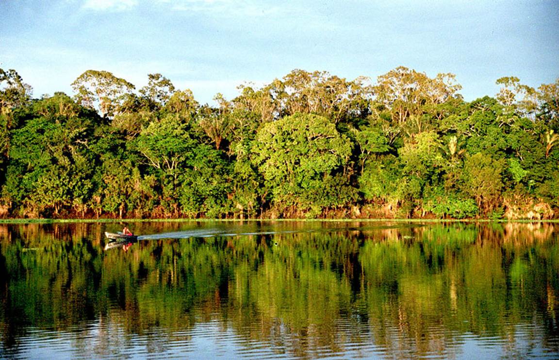 Notícia ambiental deve trabalhar para conscientizar a população pela preservação da natureza