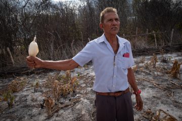 Profetas do tempo: sabedoria, sinais e horizonte no sertão da opulência