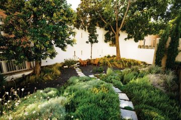 O jardim porquê tentativa mediterrânico