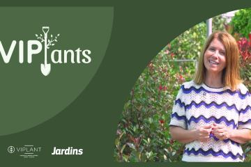 Vegetalidade para sebes – Revista Jardins