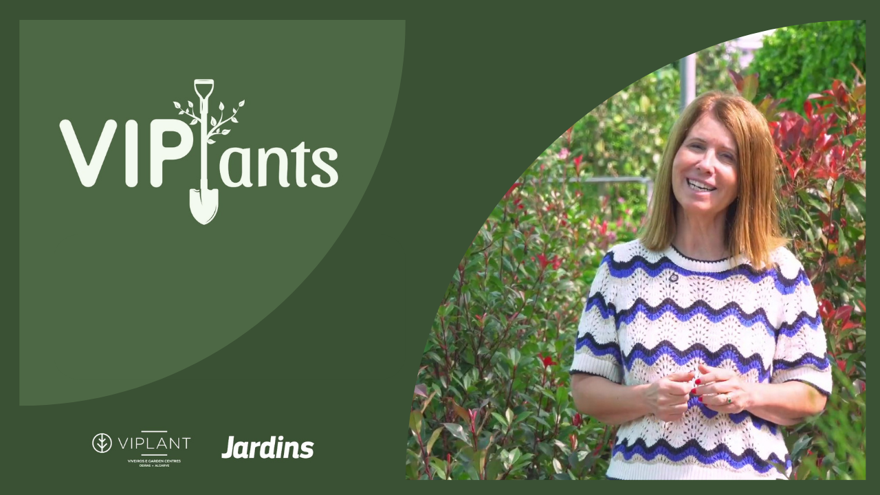 Vegetalidade para sebes – Revista Jardins