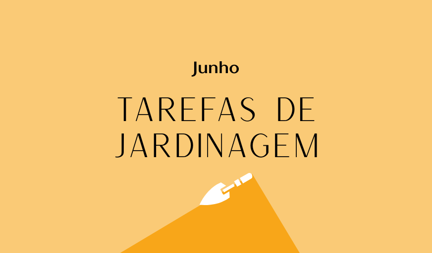 Tarefas de jardinagem: Junho – Revista Jardins
