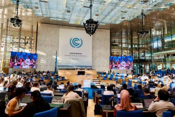 Bonn: a guerra sobre representação e poder de agenda