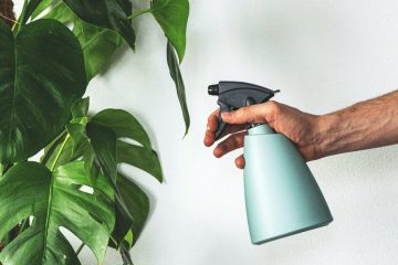 Produtos fitofarmacêuticos – Revista Jardins