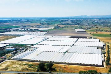 Ateneu dos Produtores: Florisul – Revista Jardins